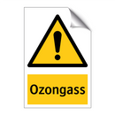 Ozongass