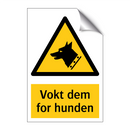 Vokt dem for hunden