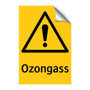 Ozongass