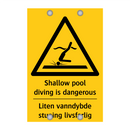Shallow pool diving is dangerous - Liten vanndybde stuping livsfarlig