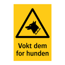 Vokt dem for hunden