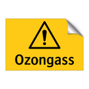 Ozongass