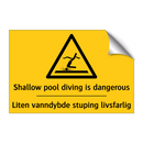 Shallow pool diving is dangerous - Liten vanndybde stuping livsfarlig