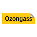Ozongass