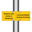 Shallow pool diving is dangerous - Liten vanndybde stuping livsfarlig